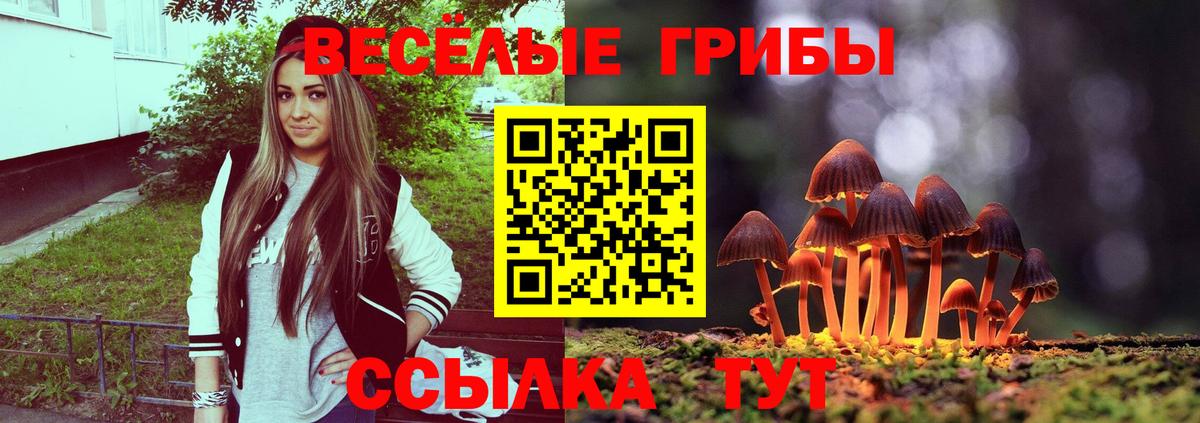 Ростов Великий  Галлюциногенные грибы мухоморы  Вход с VPN 