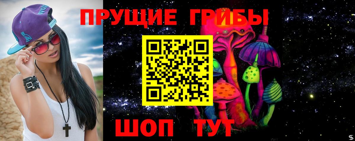 Псилоцибиновые грибы мицелий Ростов Великий